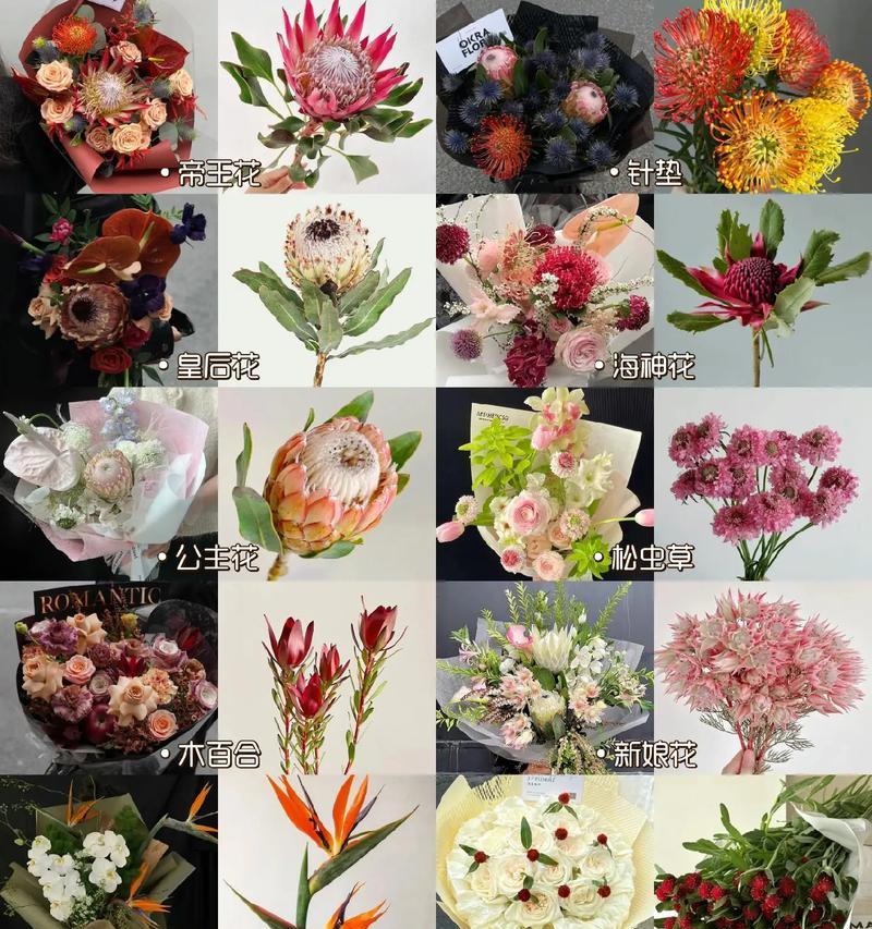 蒂王花的花语是什么意思？