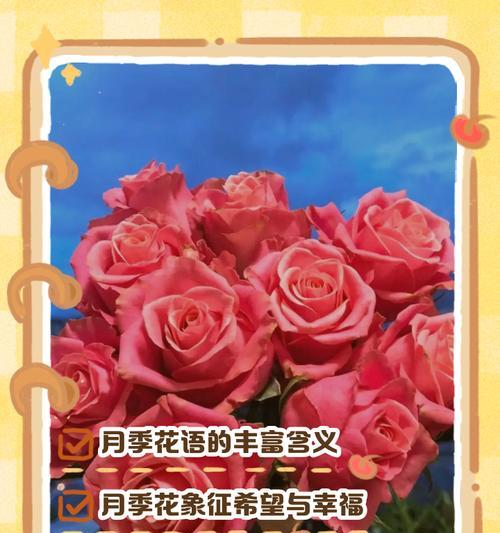 灰璃月季的花语是什么意思？