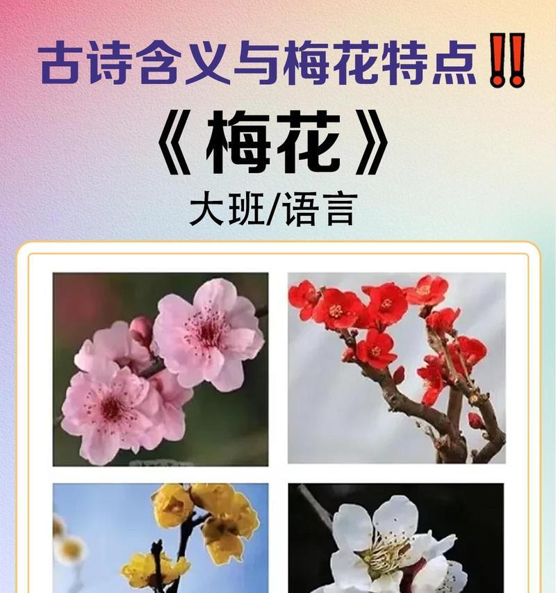6月雪的花语代表什么含义？