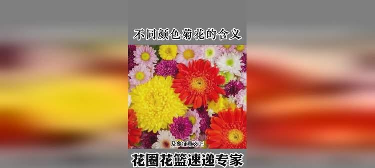 山柳兰的花语代表什么含义？