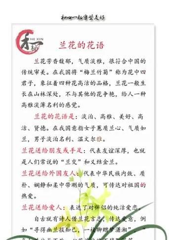 兰花的花语代表什么含义？