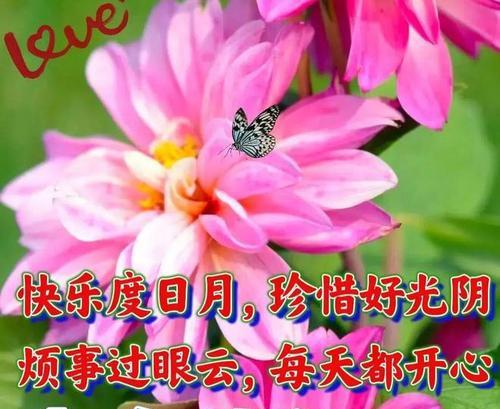 一帆顺风花语是什么意思？如何用在祝福语中？