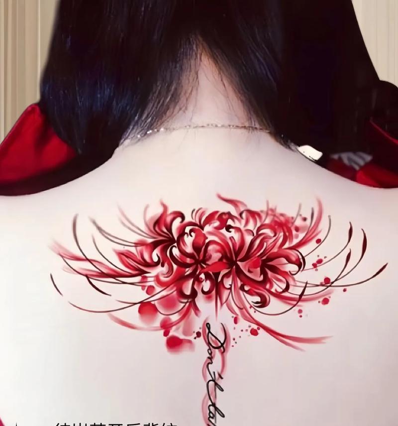 彼岸花花语是什么？彼岸花的寓意有哪些？