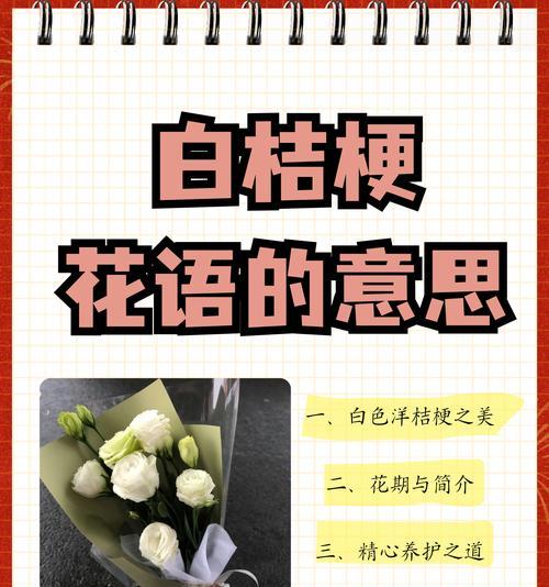 绿橘梗花语代表什么？绿橘梗的象征意义是什么？