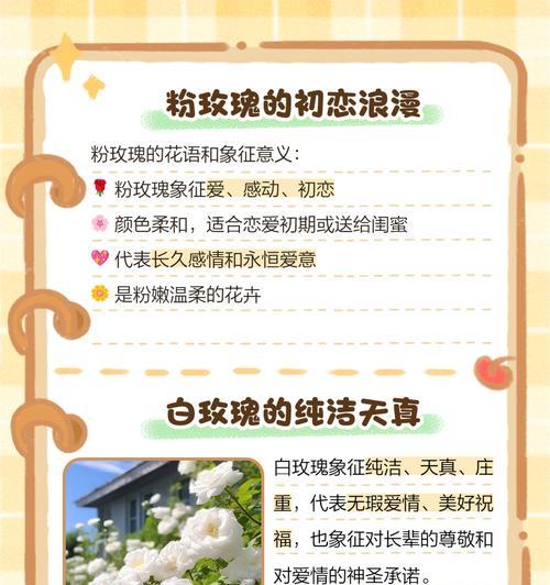 3色玫瑰的花语是什么？3色玫瑰代表了哪些情感？