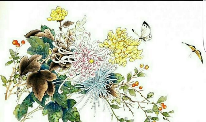 蟹甲兰的花语有哪些含义？蟹甲兰象征着什么？
