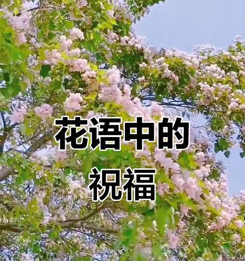 楸树花的花语是什么？楸树花象征着什么？