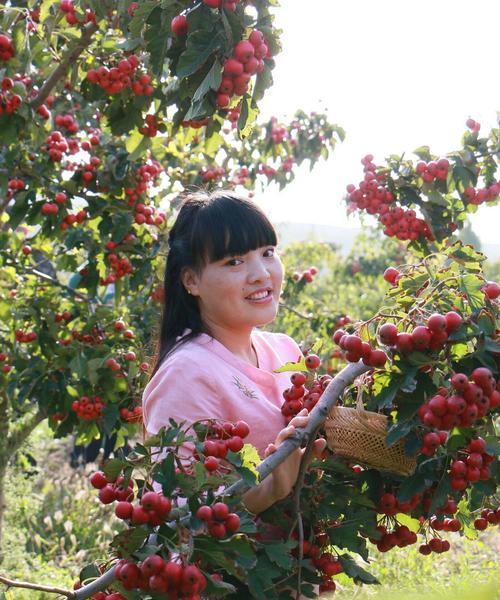 野山楂树花语是什么？如何理解其深层含义？
