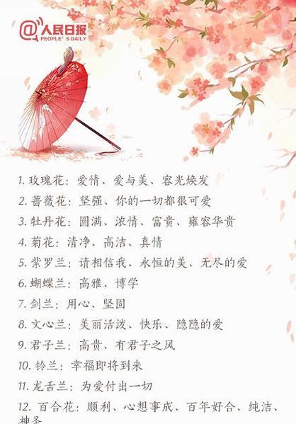 雯心草的花语是什么？它传递了哪些情感信息？