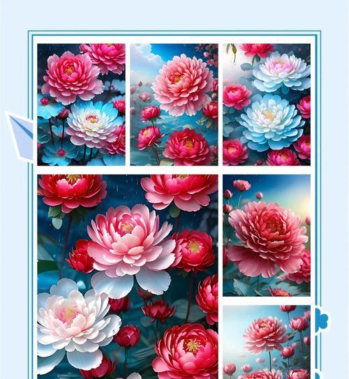 牡丹花语象征着什么？它有哪些特别的含义？