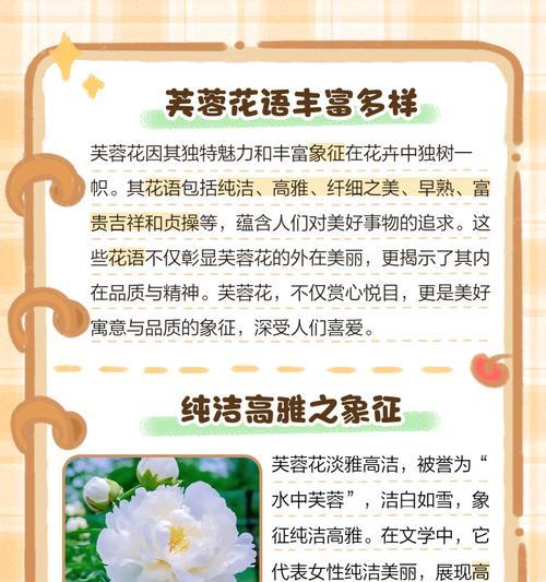 花语是假的花吗？如何辨别花语的真伪？