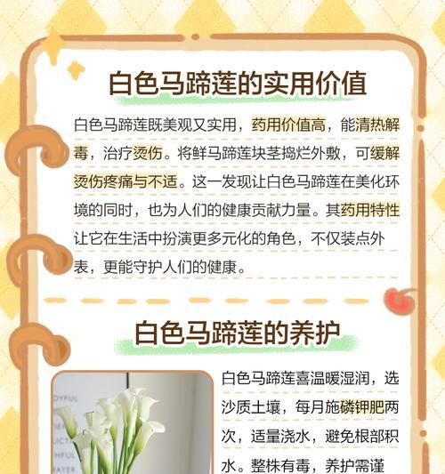 色马蹄莲的花语是什么？色马蹄莲花语的寓意是什么？