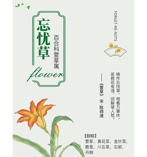 大鹿葱的花语是什么？大鹿葱花语的深层含义是什么？