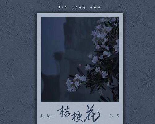 丸和桔梗的花语是什么？丸和桔梗花语的象征意义是什么？