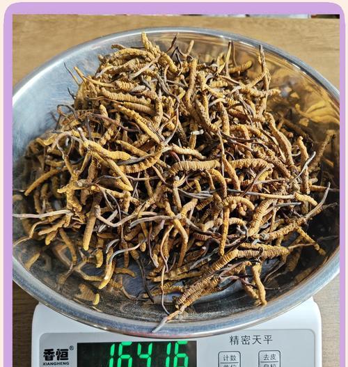 黑嚏根草的花语是什么？黑嚏根草花语的含义是什么？