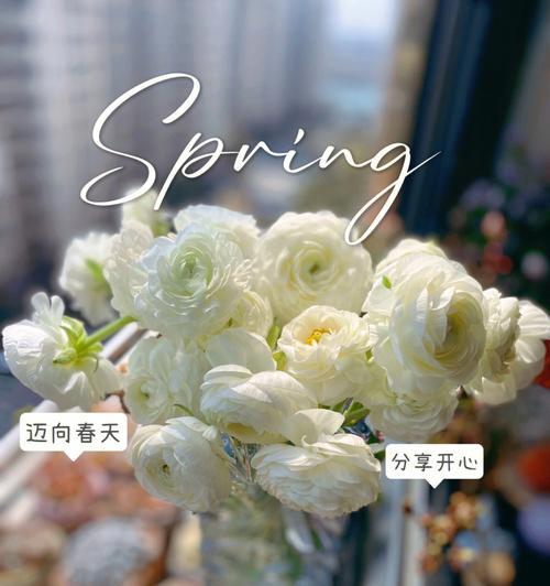 白牡丹的花语是什么？白牡丹花语录有哪些内容？