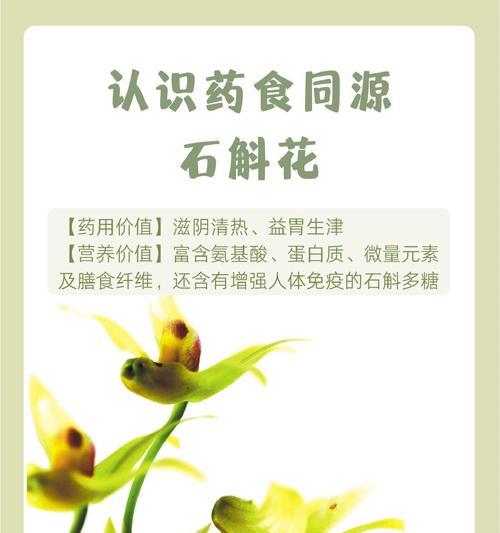 石解花的花语有哪些？石解花象征着什么？