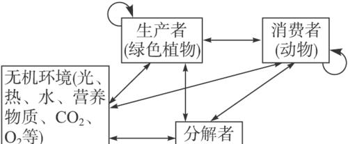 桃之卵的花语是什么？它传递了怎样的信息？