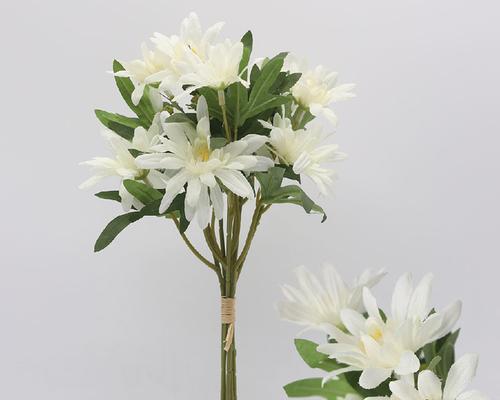 野匊花的花语有哪些？它在花语中代表什么？