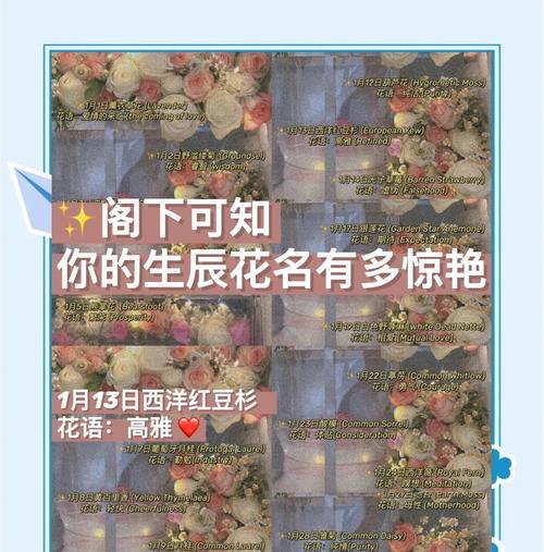 红豆杉花的花语是什么？它传递了什么信息？