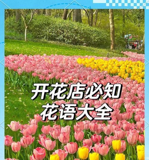 绿植也有花语吗？它们通常象征着什么？