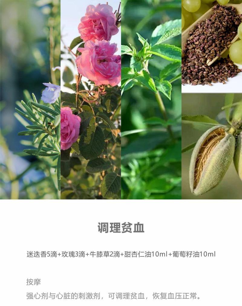 迷迪香的花语是什么？它传递了怎样的信息？