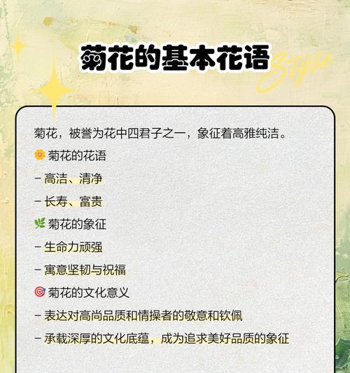 球球菊花的花语是什么？它代表了哪些寓意？