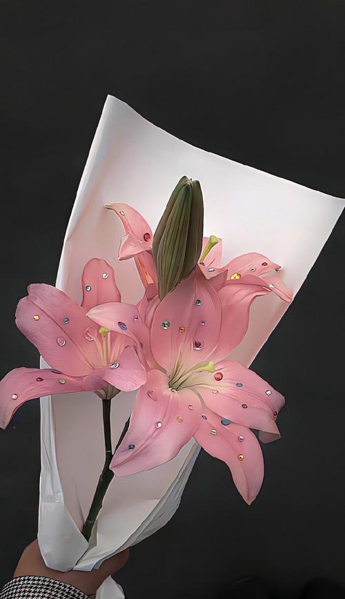 疫情期间百合花语代表什么？