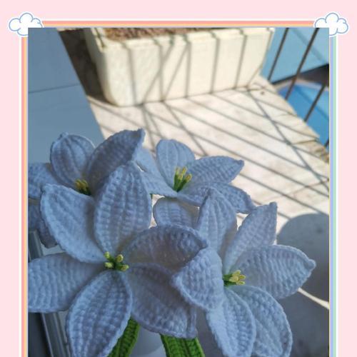 红白百合花语的含义是什么？