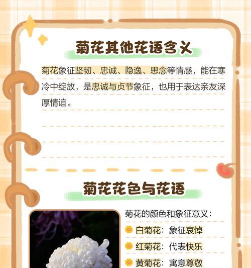 浅黄菊花花语代表什么？