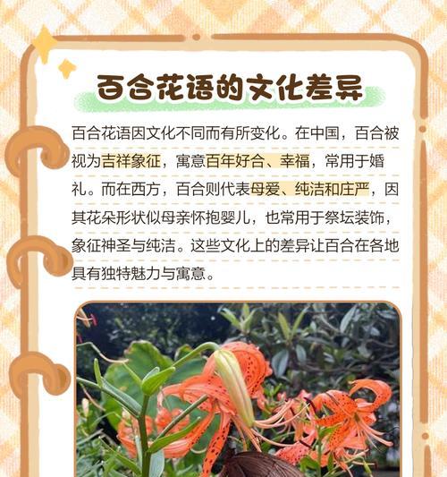 复仇主题的百合花语是什么？