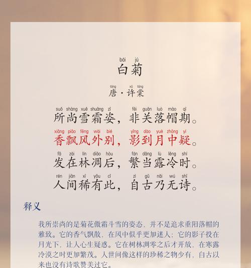 红白菊花花语有何含义？