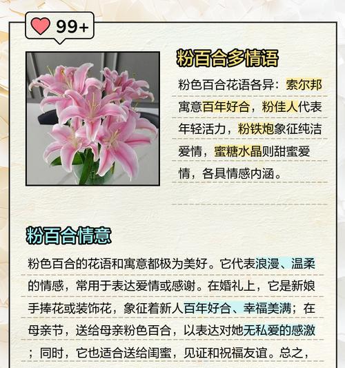 美洲百合花语是什么意思？