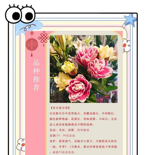 百合花语如何体现浪漫？