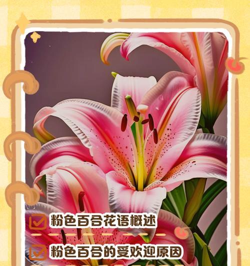 百合花语如何体现浪漫？