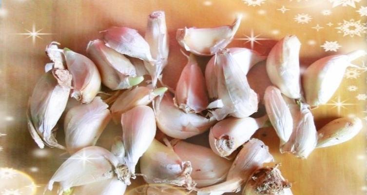 蒜养水的花语代表什么？如何进行水培？
