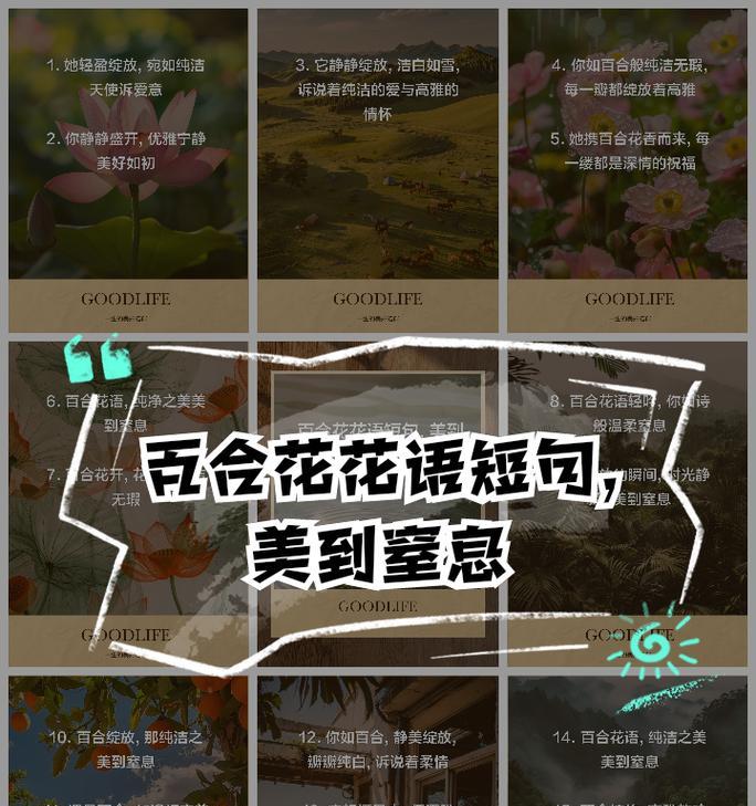 百合品种花语有哪些？不同品种的百合代表什么意义？