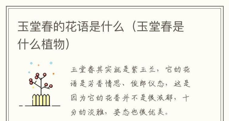 四季芳香植物的花语有哪些？它们各自代表什么？
