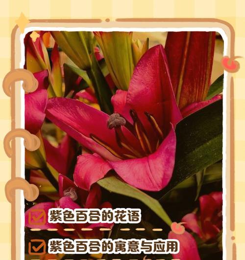 重叠百合的花语是什么？它象征着怎样的情感？