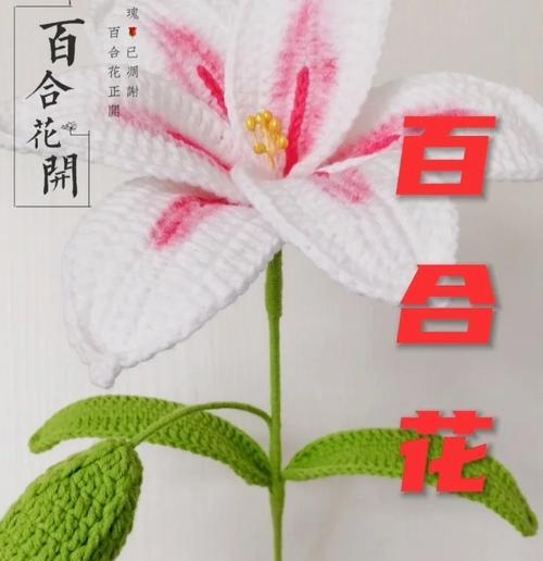 百合花语与颜色有何关联？不同颜色的百合代表什么？