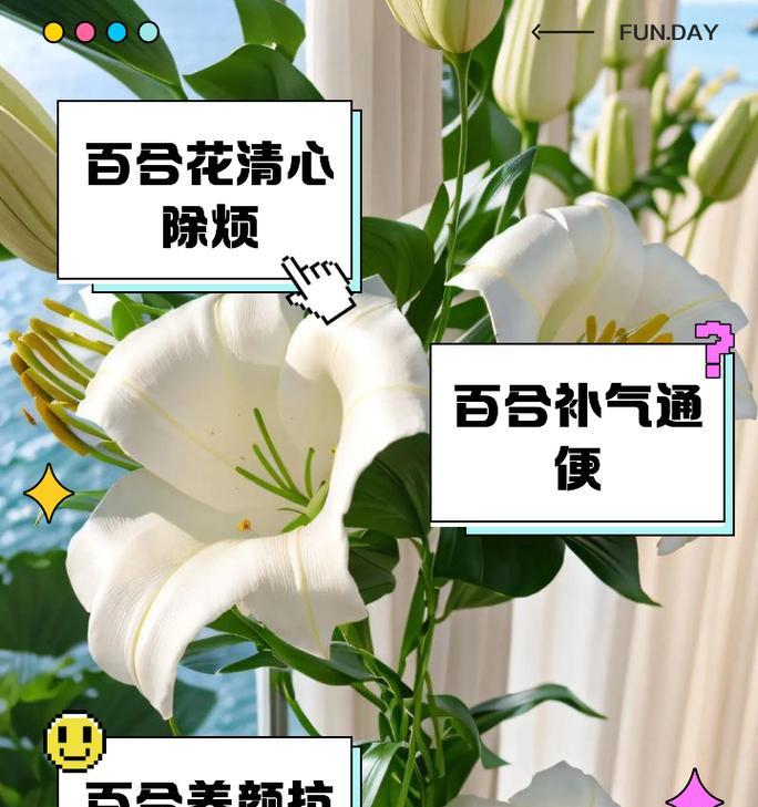 百合花语与颜色有何关联？不同颜色的百合代表什么？