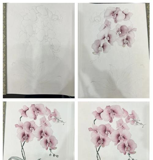 蝴蝶兰花语意指的是什么？如何用蝴蝶兰表达情感？