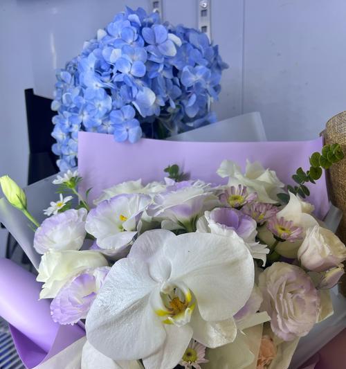 一家人的花语代表什么？如何选择合适的花卉？