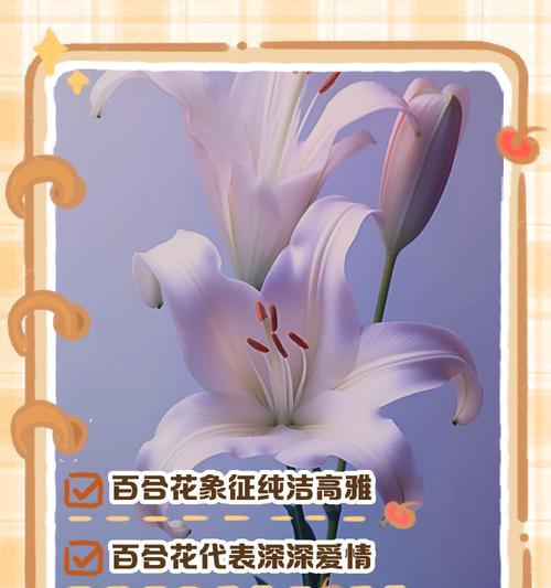 花的花语和寓意有哪些？如何挑选寓意深刻的花卉？