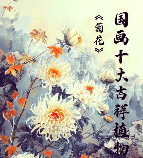 菊花寓意什么意思？菊花的花语和文化含义是什么？
