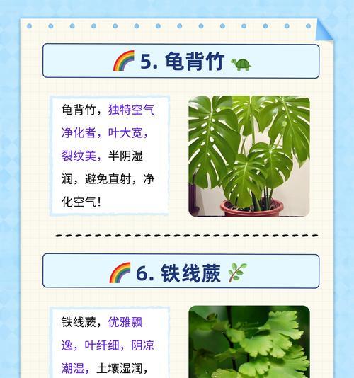 喜阴开花植物有哪些推荐？喜阴开花植物的养护技巧是什么？