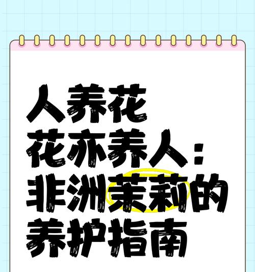 非州茉莉的养殖方法和注意事项是什么？