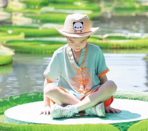 王莲种植需要注意哪些事项？