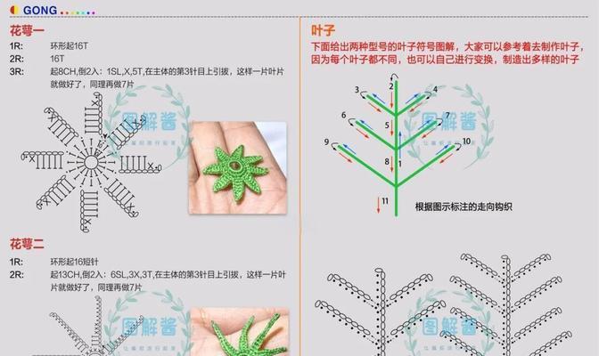 波斯菊摘心的最佳时机和方法是什么？