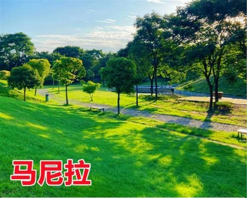 草坪种子播种的最佳时机是什么时候？如何进行播种？